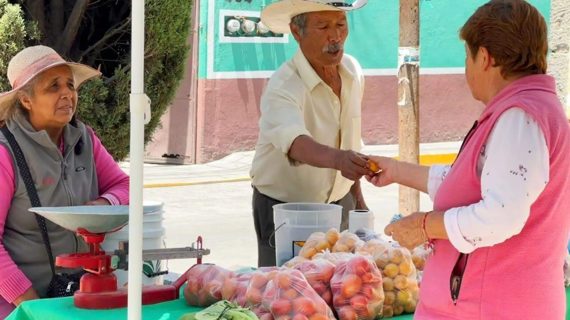 tianguis semillas Huamantla 1